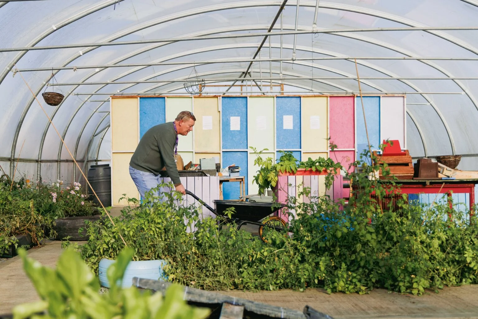 Person wheeling a wheelbarrow on a community allotment, showing how green savings help fund ethical projects
